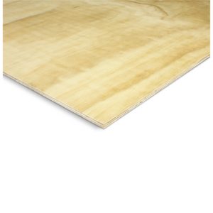 Plywood CD Structural 2400 x 1200 x 25mm Sheet